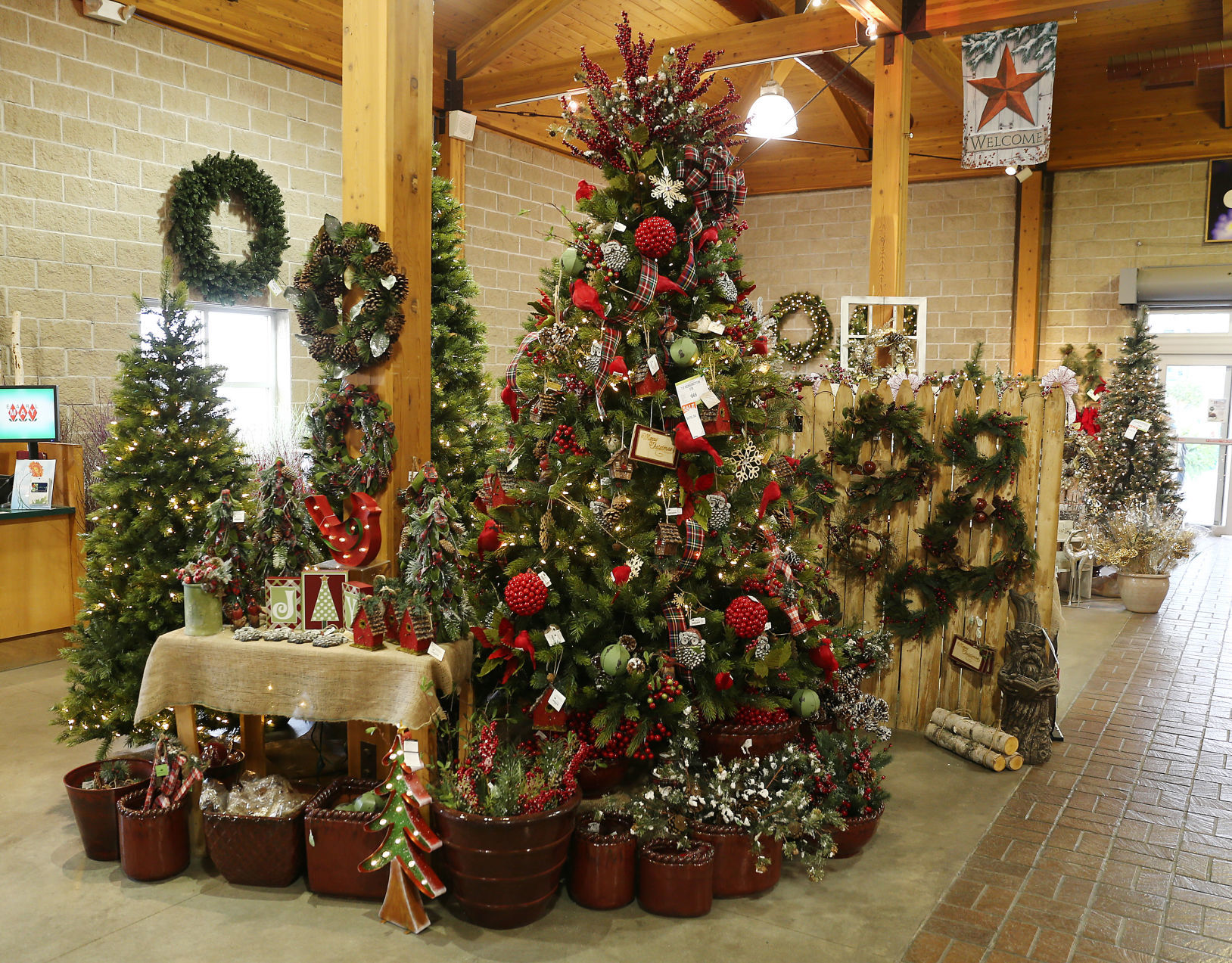 Earl May Christmas Trees